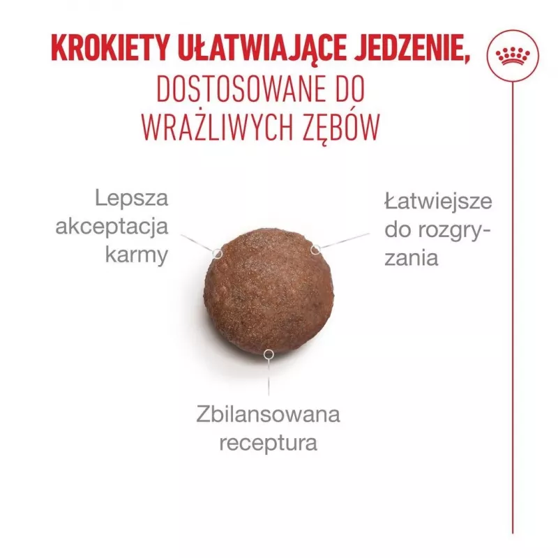 Sucha karma dla kota Royal Canin FHN Ageing Sterilised 11+ z drobiem 4 kg, 30% białka, 12,5% tłuszczu