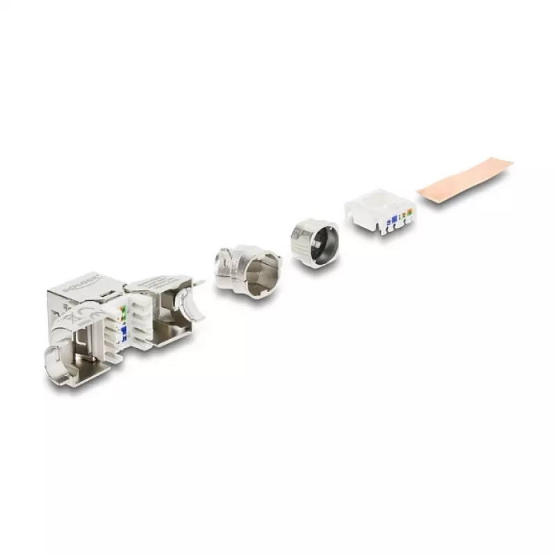 DELOCK Moduł Keystone RJ45 żeński na LSA Cat.6A beznarzędziowy 45° kątowy ekranowany z metalową zapadką