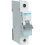 Wyłącznik nadmiarowoprądowy Hager MBN110 1P, 10 A, 50–60 Hz