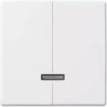 Urządzenie sieciowe Busch-jaeger 6545-914