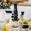Blender ręczny Adler | AD 4620 | Blender ręczny | 800 W | 2 prędkości | Czarny