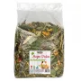 Kompletna karma dla świnek morskich Alegia Mega Pack 650 g — bez cukru, o roślinnym aromacie, bezglutenowa i bezsojowa, w worku