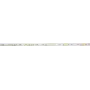 Taśma LED EUROLITE 50530110 5 m 4000K 24 V