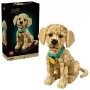 LEGO ICONS 11384 Szczeniak Golden Retriever