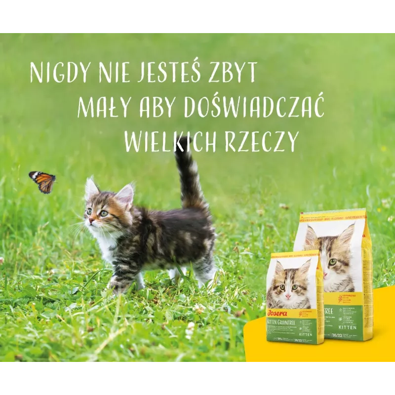 Sucha karma dla kota Josera Kitten z drobiem 2 kg