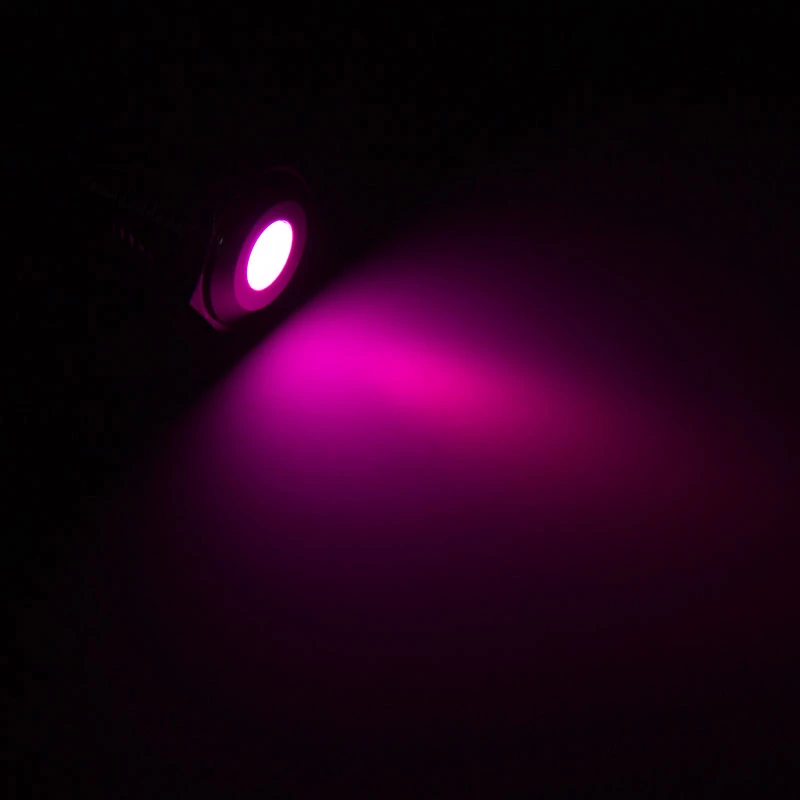 Lamptron dioda LED odporna na wandalizm, fioletowa, srebrna oprawka (LAMP-SW2005-S)
