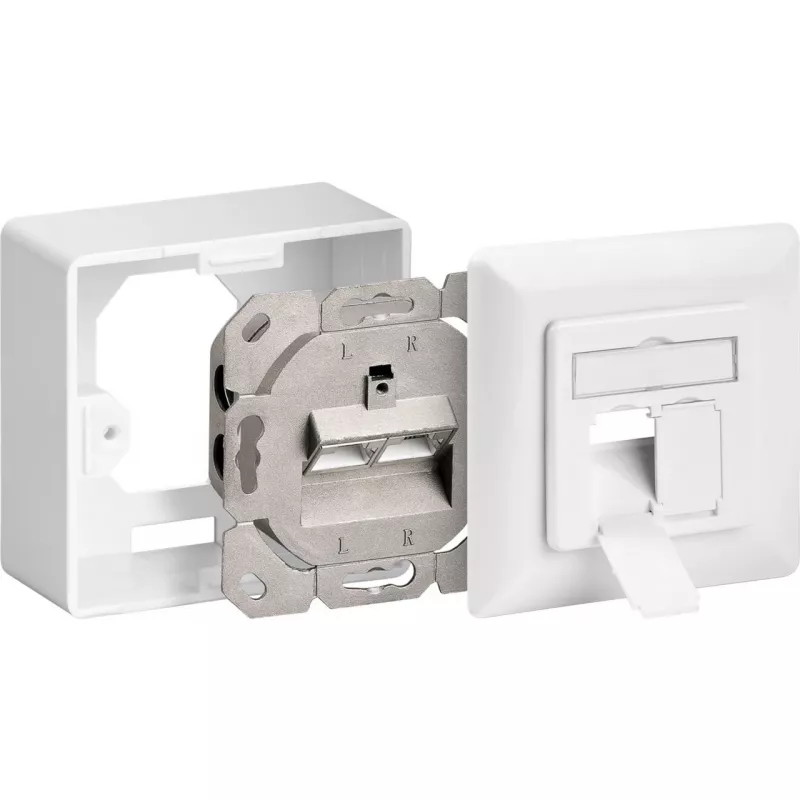 Wentronic Goobay CAT 6 Universaldose inkl. Aufputzmontage-Rahmen, Weiß - 2x RJ45 Netzwerkdose geschirmt (68244)