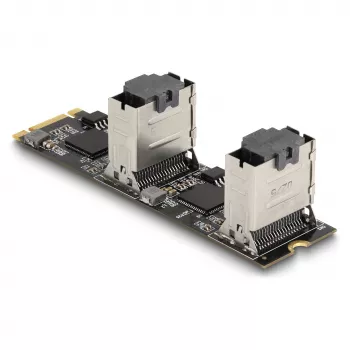 DeLOCK Konwerter M.2 2280 Key B+M męski na 8 x SATA