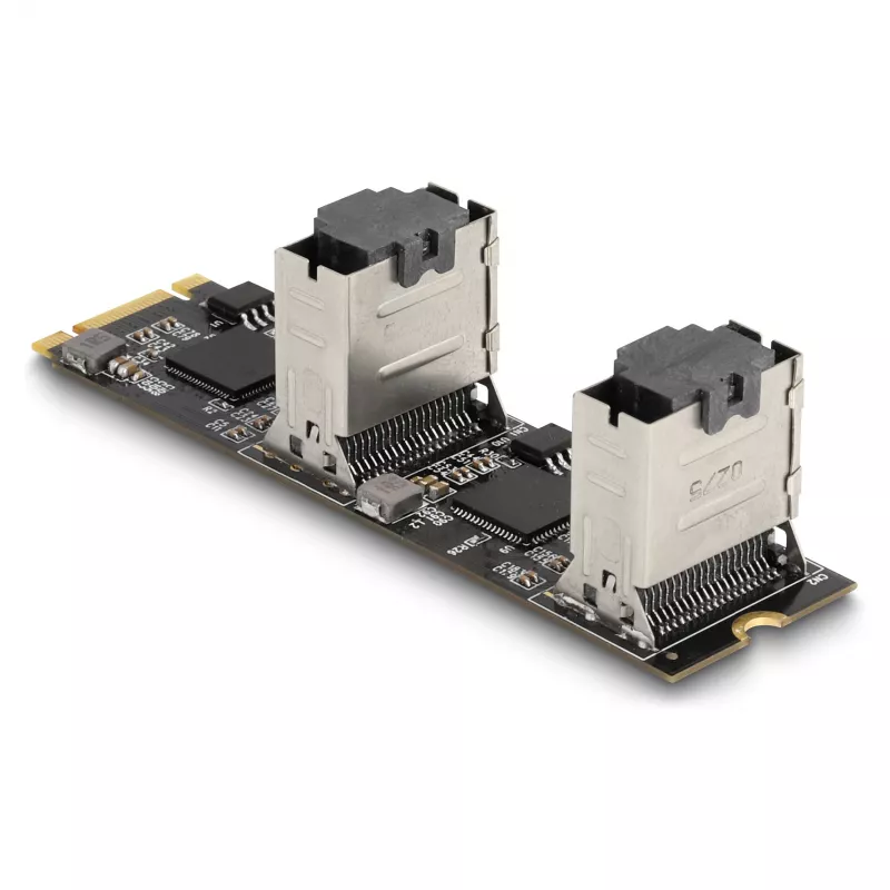 DeLOCK Konwerter M.2 2280 Key B+M męski na 8 x SATA