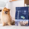 ADDVENA Power of Nature Adult Small Lamb - sucha karma dla psa - 2,5kg