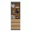 Biurkowy regał górny top e shop RS-60 ANT/ART KPL — 3 półki, płyta wiórowa, 600×350×1800 mm