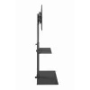 Stojak podłogowy pod telewizor GEMBIRD TVS-55T-02 dla telewizorów 32–55 cali, stal, wysokość 600 mm, VESA 100x100–400x400, maks. obciążenie 35 kg