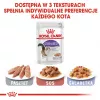 ROYAL CANIN FHN Sterilised w sosie - mokra karma dla kota - 12x85g