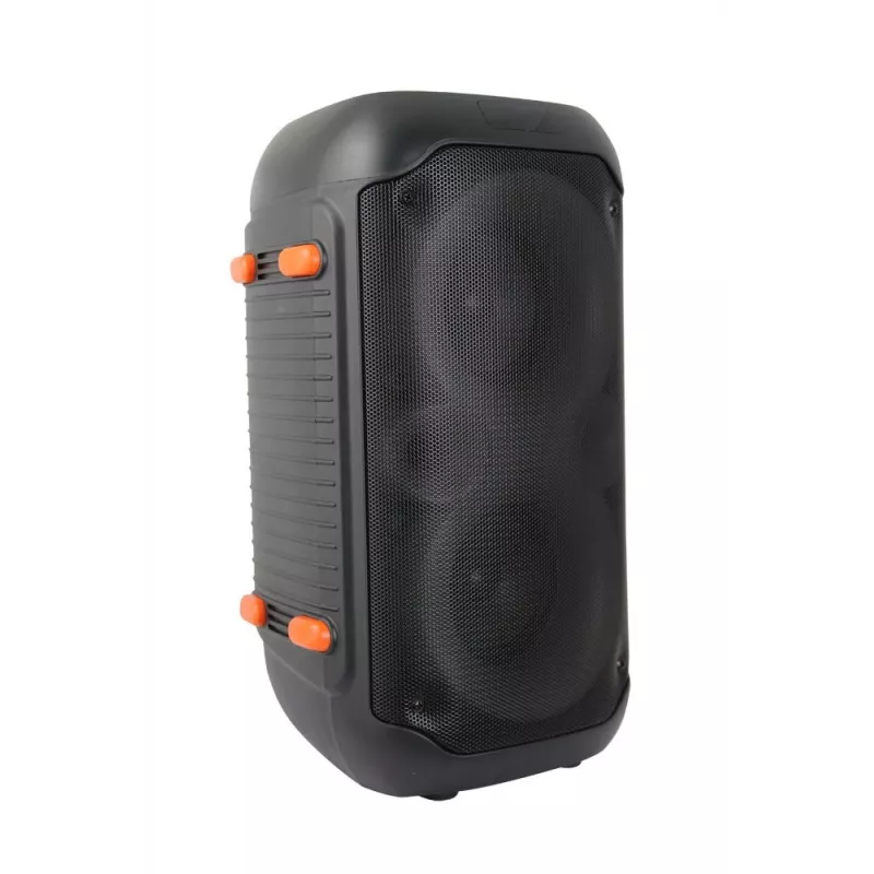 Głośnik Esperanza EP156 BT FM LED RGB KARAOKE Czarny 20W