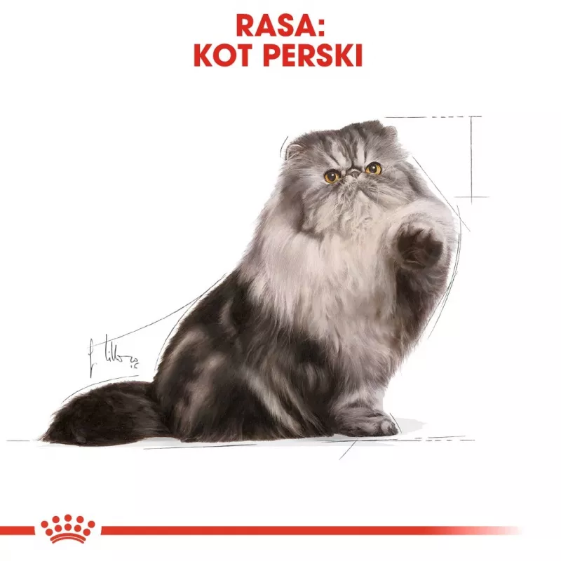 Royal Canin Persian Adult sucha karma dla kotów, 4 kg, kukurydza, drób