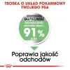 ROYAL CANIN CCN Medium Digestive Care - sucha karma dla psów - 3 kg