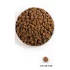 Orijen Regional Czerwony 2 kg Adult Beef, Lamb, Pork