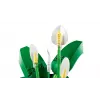 LEGO BOTANICALS 11504 Lilia Pokojowa