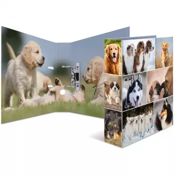 Ring binder HERMA 7165 A4 D-ring Storage