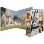 Ring binder HERMA 7165 A4 D-ring Storage