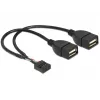 Wewnętrzny kabel USB DeLOCK 83292 0,2 m żeński na żeński