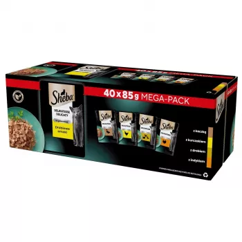 SHEBA Delicacy o smaku drobiowym w galaretce - mokra karma dla kotów - 40x85 g