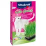 Zestaw do uprawy trawy dla kotów Vitakraft 120 g — jadalna trawa dla kotów, bezglutenowa, bez konserwantów