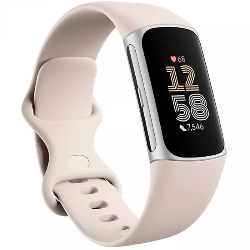 Fitbit GA05185-EU Produkt Srebrny