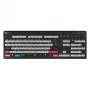 Logicklawiatura Adobe Filmmaker Astra 2 FR (PC)