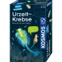 Kosmos 65787, Rozszerzona rzeczywistość, 8 lat, Wielokolorowy