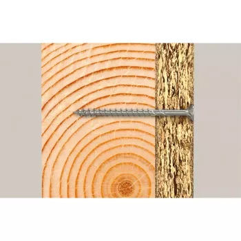 Fischer 670512