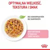 Mokra karma dla kota Royal Canin Kitten Gravy 85 g — drób, 78% wilgotności, 12% białka