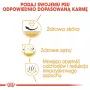 Sucha karma dla psa Royal Canin Shih Tzu Adult 1,5 kg — drób, 24% białka, 20% tłuszczu, dla małego dorosłego Shih Tzu