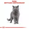 Sucha karma dla kota Royal Canin British Shorthair Adult 2 kg — drób, 34% białka, 19% tłuszczu