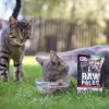 Mokra karma dla kota VETEXPERT RAW PALEO Adult Sterilised Beef 100 g saszetka, monoproteinowa, 78% wilgotności
