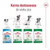 Sucha karma dla psa Royal Canin Adult Mini S 8 kg — kompletne żywienie dla małych dorosłych psów
