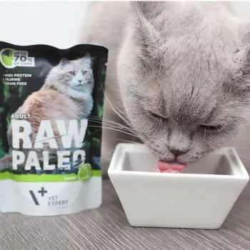 Mokra karma dla kota VETEXPERT RAW PALEO Adult Venison 100 g — bezzbożowa saszetka jednoporcjowa