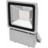 Reflektor LED EUROLITE FL-100 6400K, odpowiednik 100 W, światło dzienne 6400 K