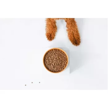 Sucha karma dla psa nature’s protection Superior Care czerwony Coat Adult Small breed Grain free Salmon 10 kg