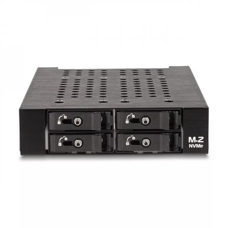 Klatka HDD DeLOCK 47072 Kompatybilna z Szafą Rack Metalowa Szerokość 100 mm