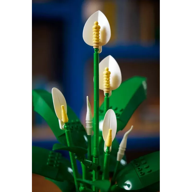 LEGO BOTANICALS 11504 Lilia Pokojowa
