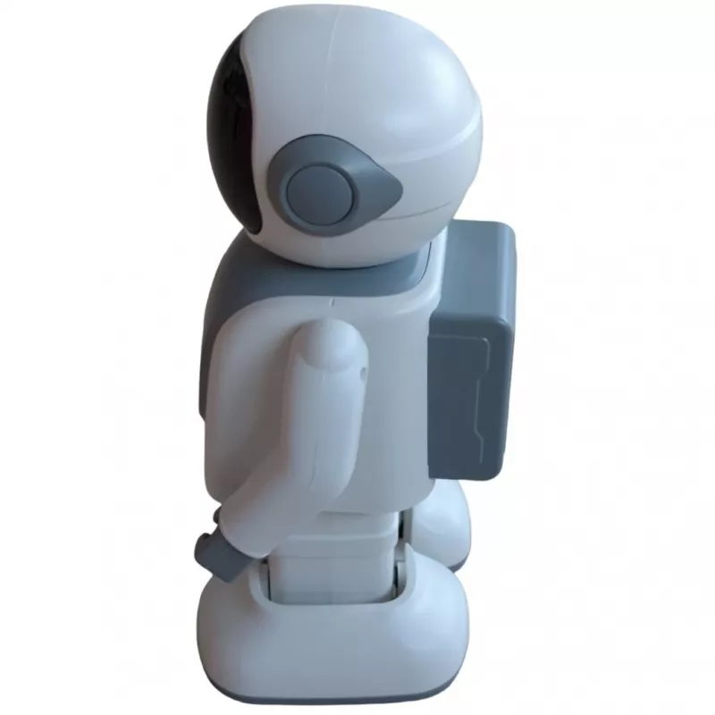 Głośnik Bluetooth ALLNET Robert z obsługą aplikacji — model Robert