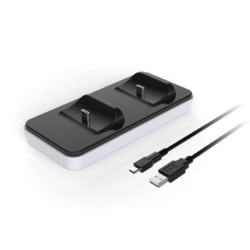 Raptor CS200-LT, do użytku wewnętrznego, USB, czarny, biały