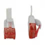 Synergy 21 S216170V2 kabel sieciowy 0,25 m Kat.6 U/UTP (UTP) biały (S216170V2)