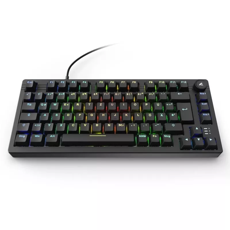 Sharkoon SGK25 Klawiatura Dom USB QWERTZ Niemiecki Czarny 75% RGB LED
