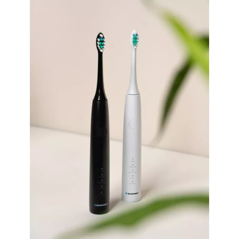 Szczoteczka elektryczna BLAUPUNKT DTS201BK — soniczna, ładowalna, czarna, minutnik 2-min, wbudowana bateria 5V