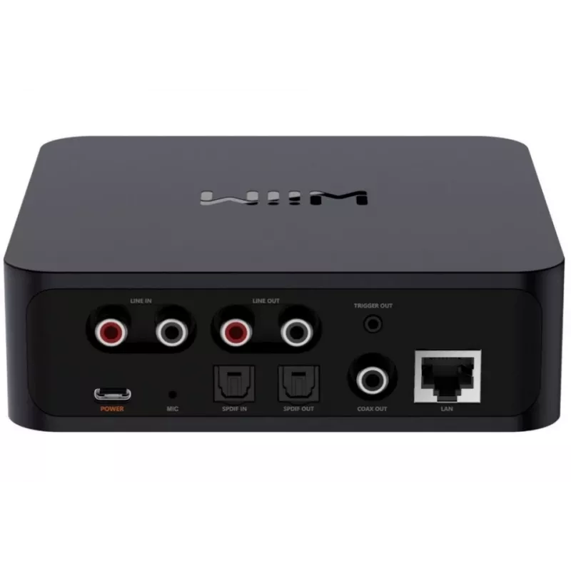 WiiM Pro Plus - odtwarzacz sieciowy