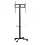 Gembird stojak podłogowy pod telewizor na kółkach (pochylany) do 32–55 cali, VESA 100x100–400x400, maks. obciążenie 30 kg, czarny