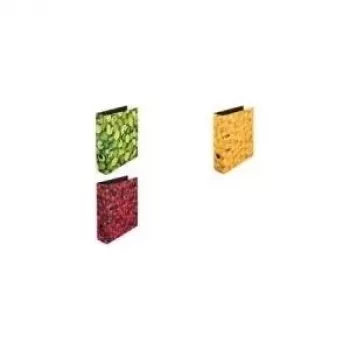 Ring binder Herlitz 10485134 A4 Multicolour