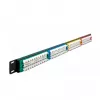 DeLOCK 19-calowy panel krosowy 24-portowy Kat.5e 1U kolorowe RJ-45